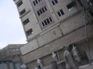 نما_59