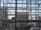 اسکلت_14