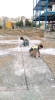 شروع آرموتور بندی بلوک چهارم 22-04-1396