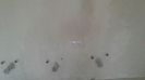 اتمام گچ کاری بلوک چهارم