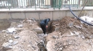 برق 4_28