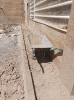 محوطه سازی_163