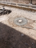 محوطه سازی_185