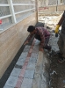 محوطه سازی_197