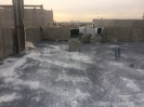 شش_2
