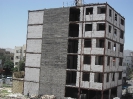 هبلکس_19