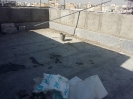پشت بام_94