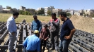 بازدید_30